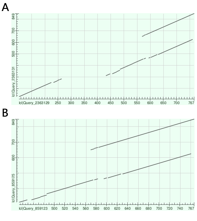 Dot plot
