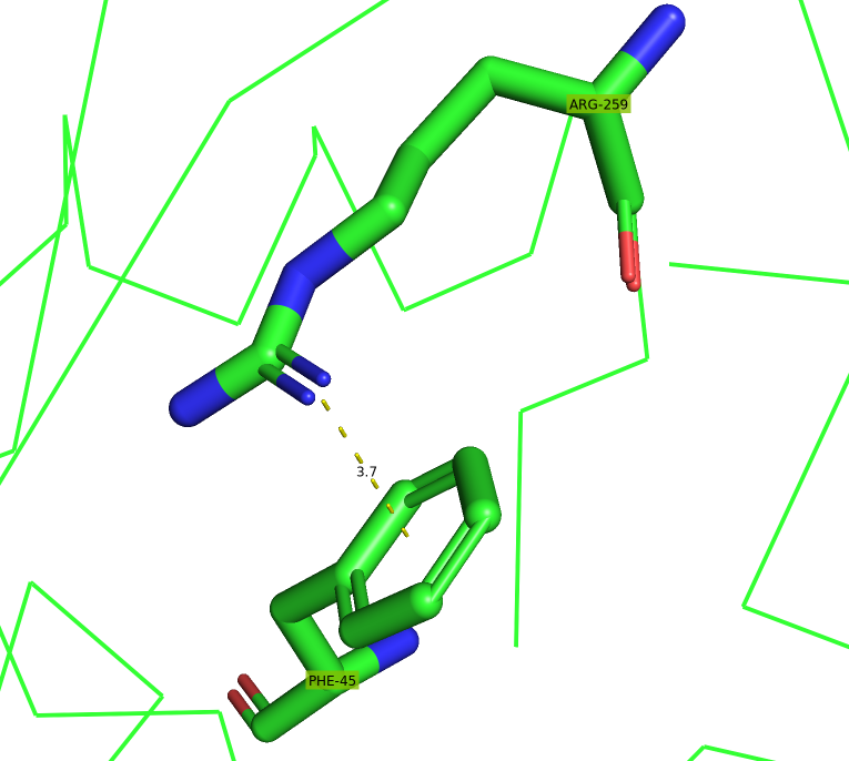 Pi-cation interactions