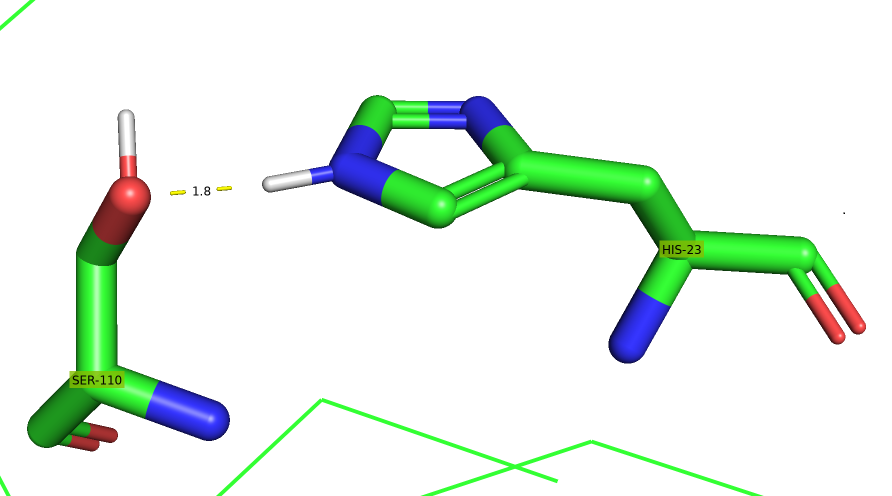 Hydrogen bond