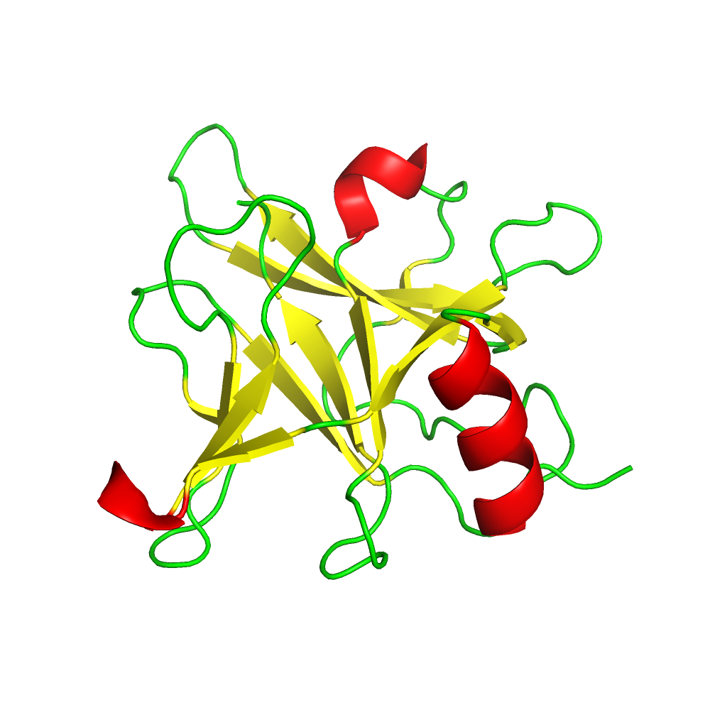 Pyocin S domain