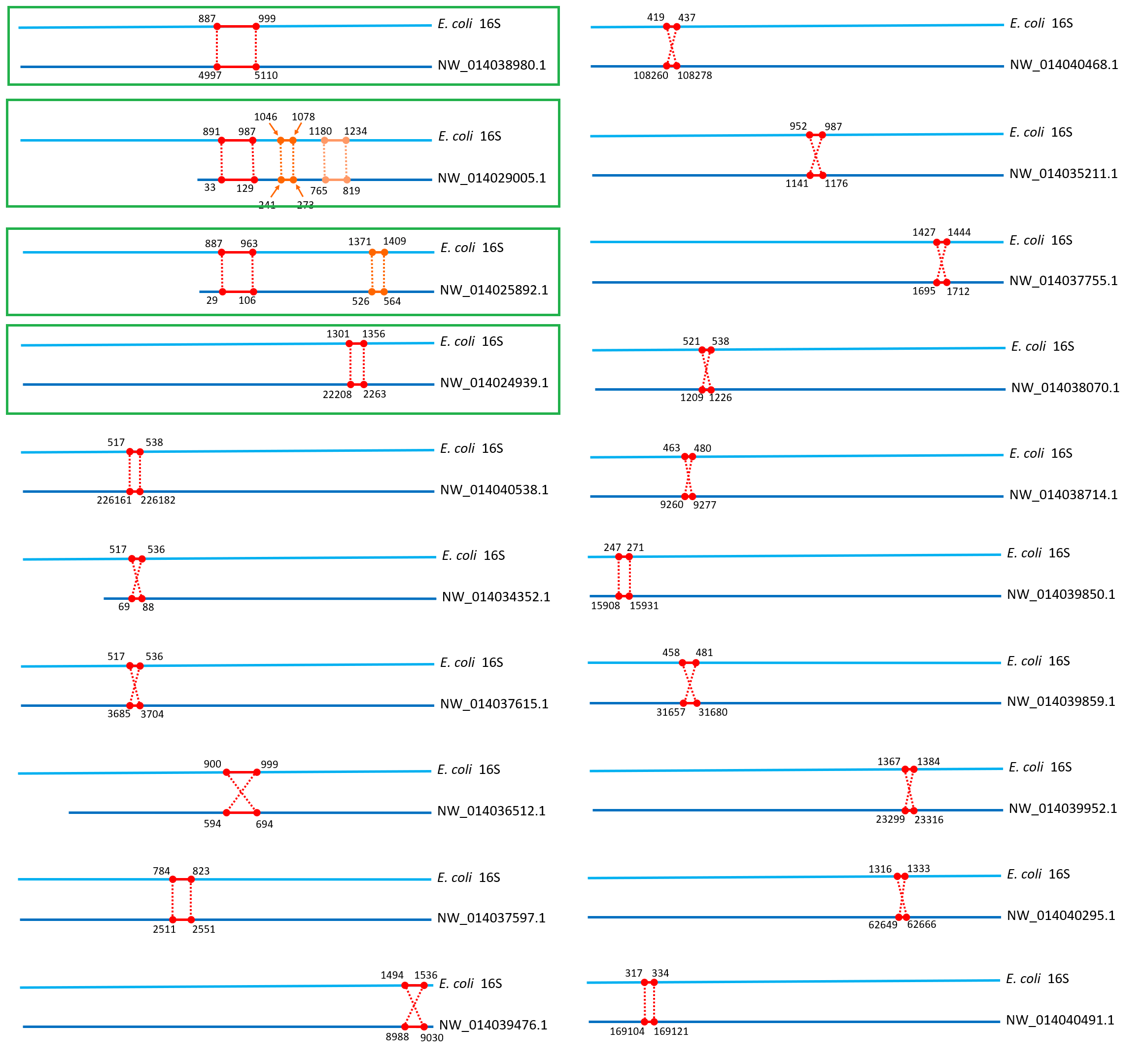 blastn for 16S rrna
