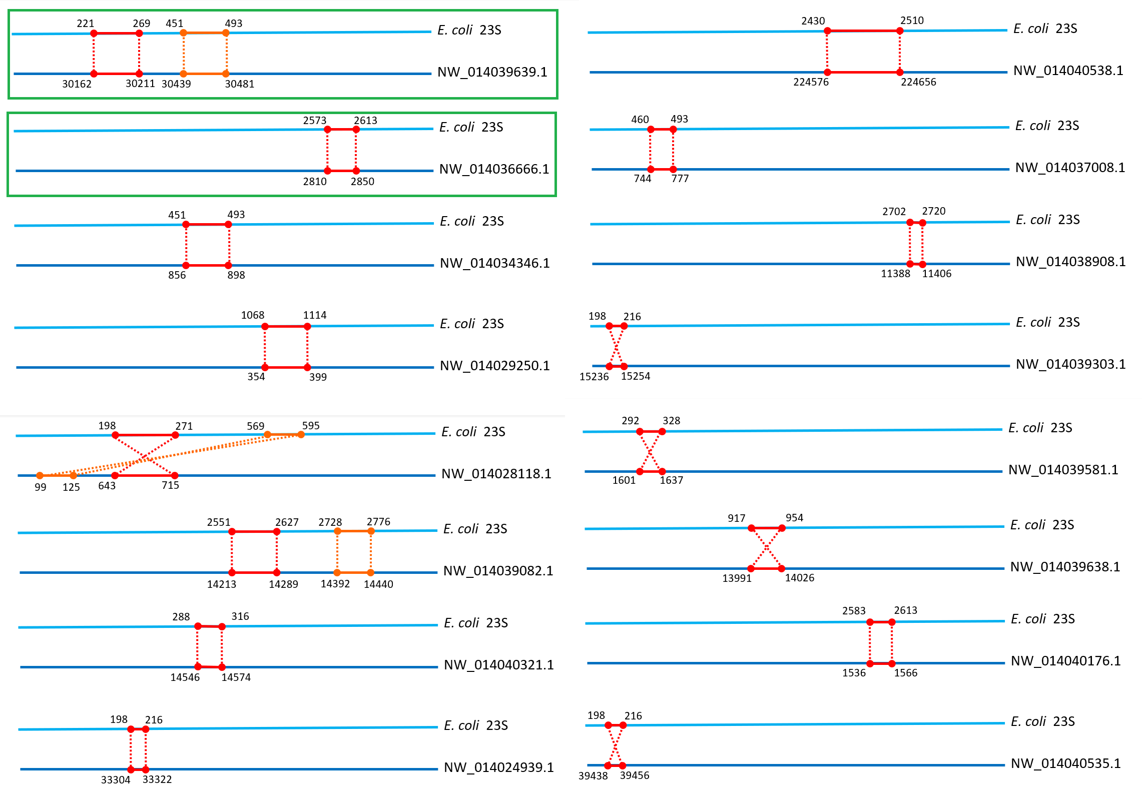 blastn for 23S rrna