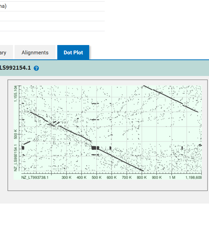 Nucleotide BLAST dotplot