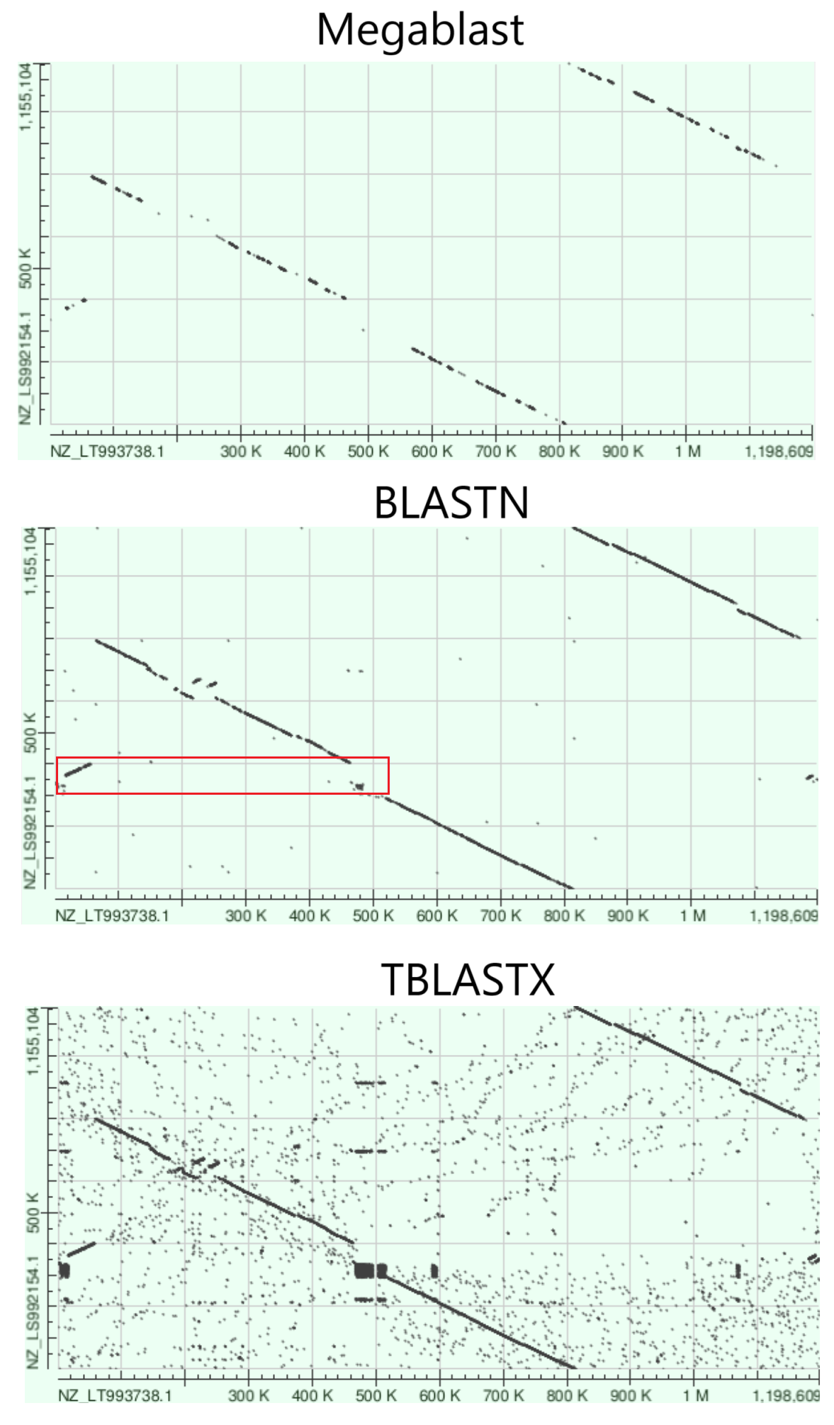 BLAST dotplot for Chlamydia