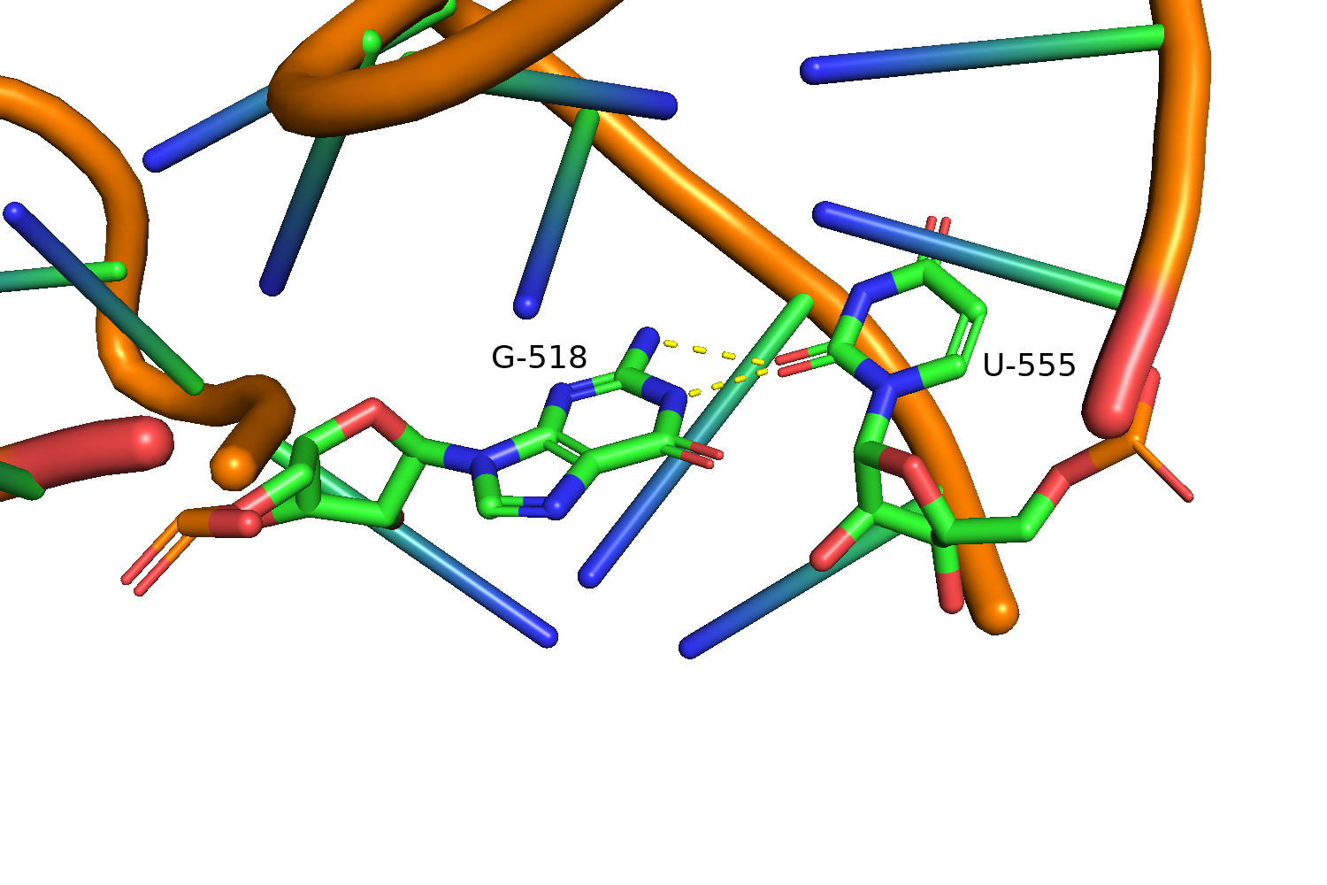 D-loop T-loop tRNA interactions