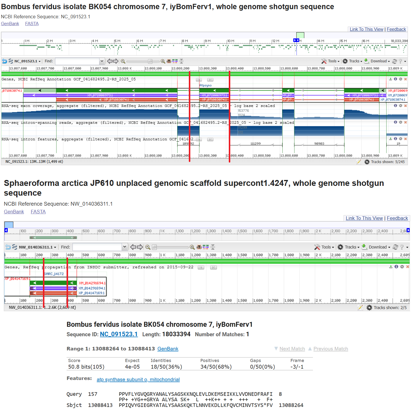 Scaffolds and chromosome