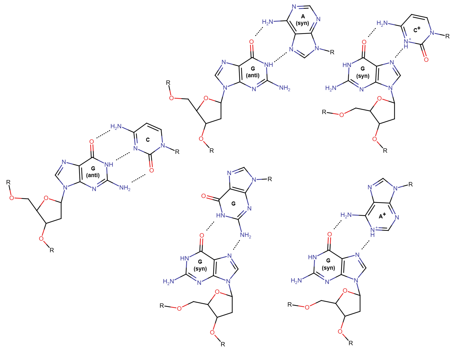 Guanine Hoogsteen pairs