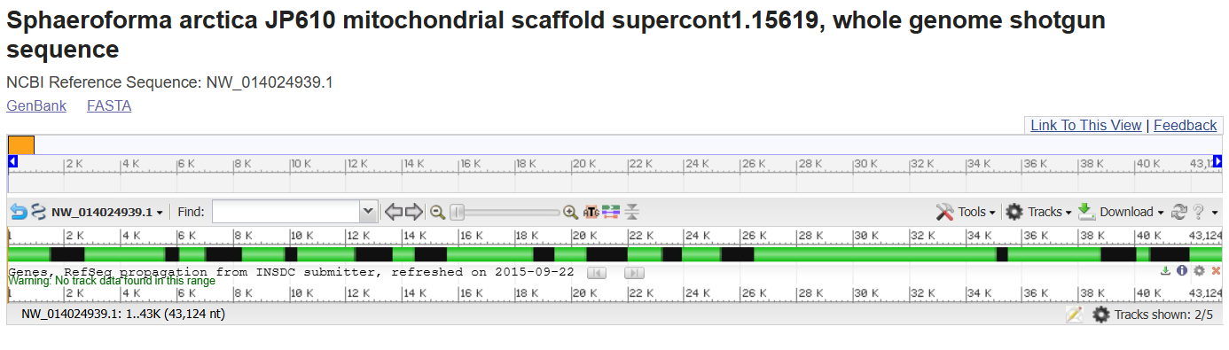 Mitochondrial scaffold of Sphaeroforma arctica