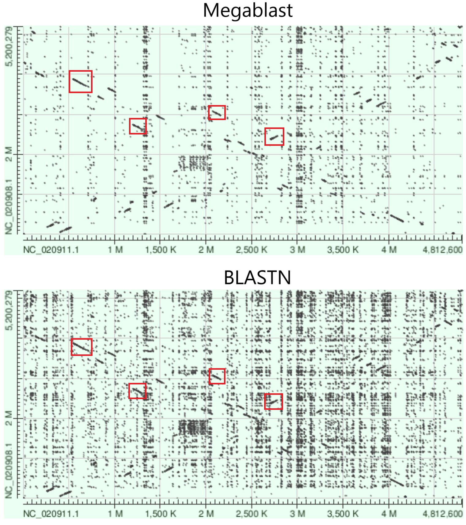 BLAST dotplot for Octadecabacter