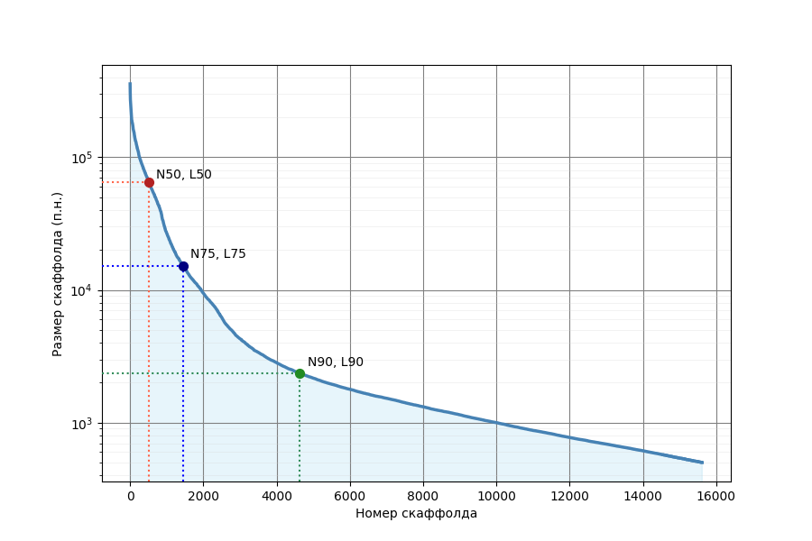Scaffold lengths distribution for Sphaeroforma arctica genome