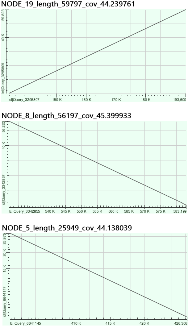 overcovered contig dot plot