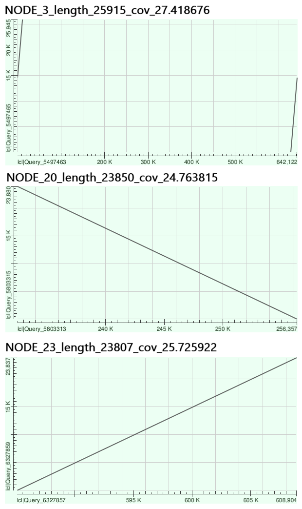 overcovered contig dot plot