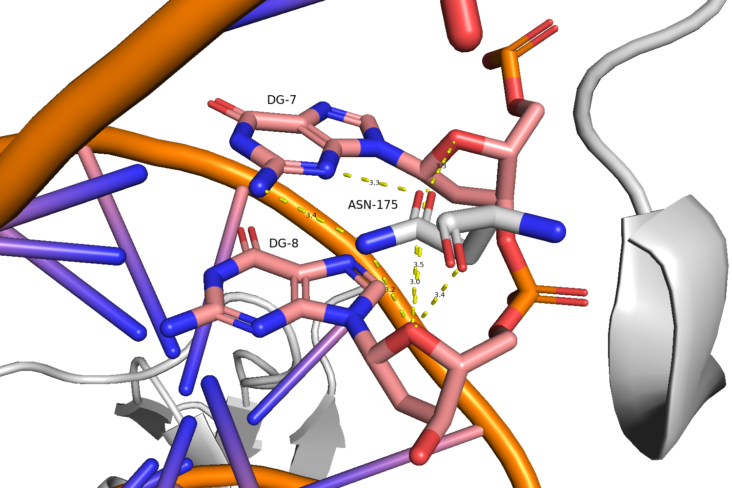 DNA-protein interactions