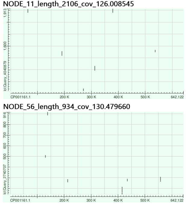 overcovered contig dot plot