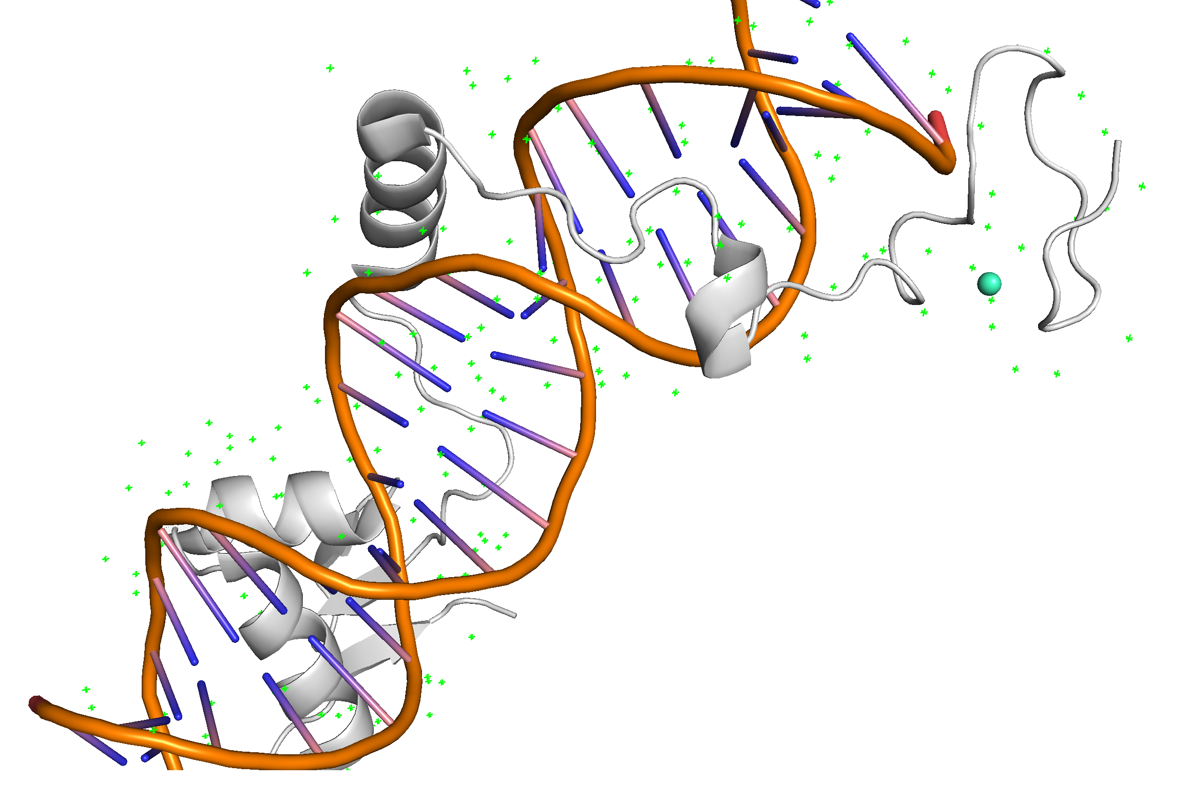 DNA-protein interactions