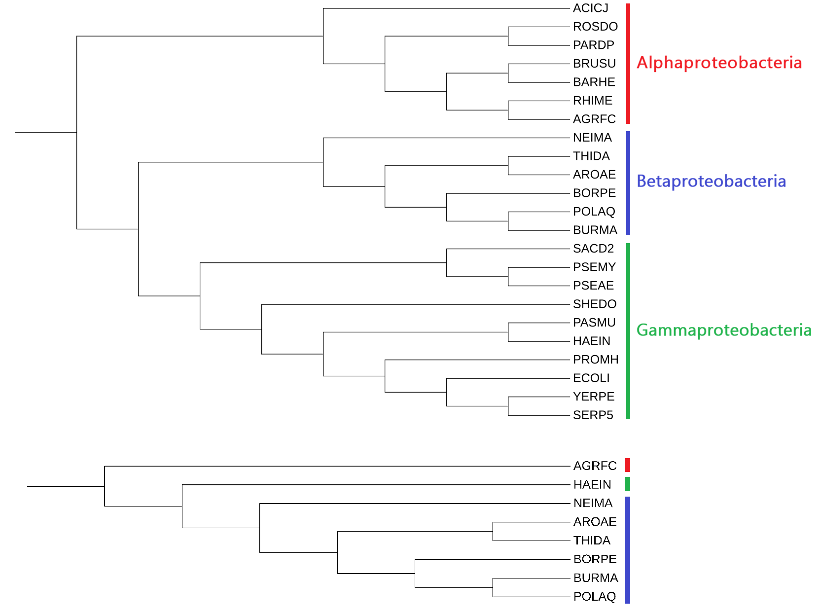 Pseudomonadota taxonomy