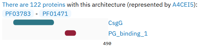 Domain arcitechture of some CsgG family proteins
