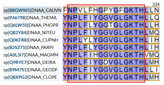 Aligned DnaA sequences