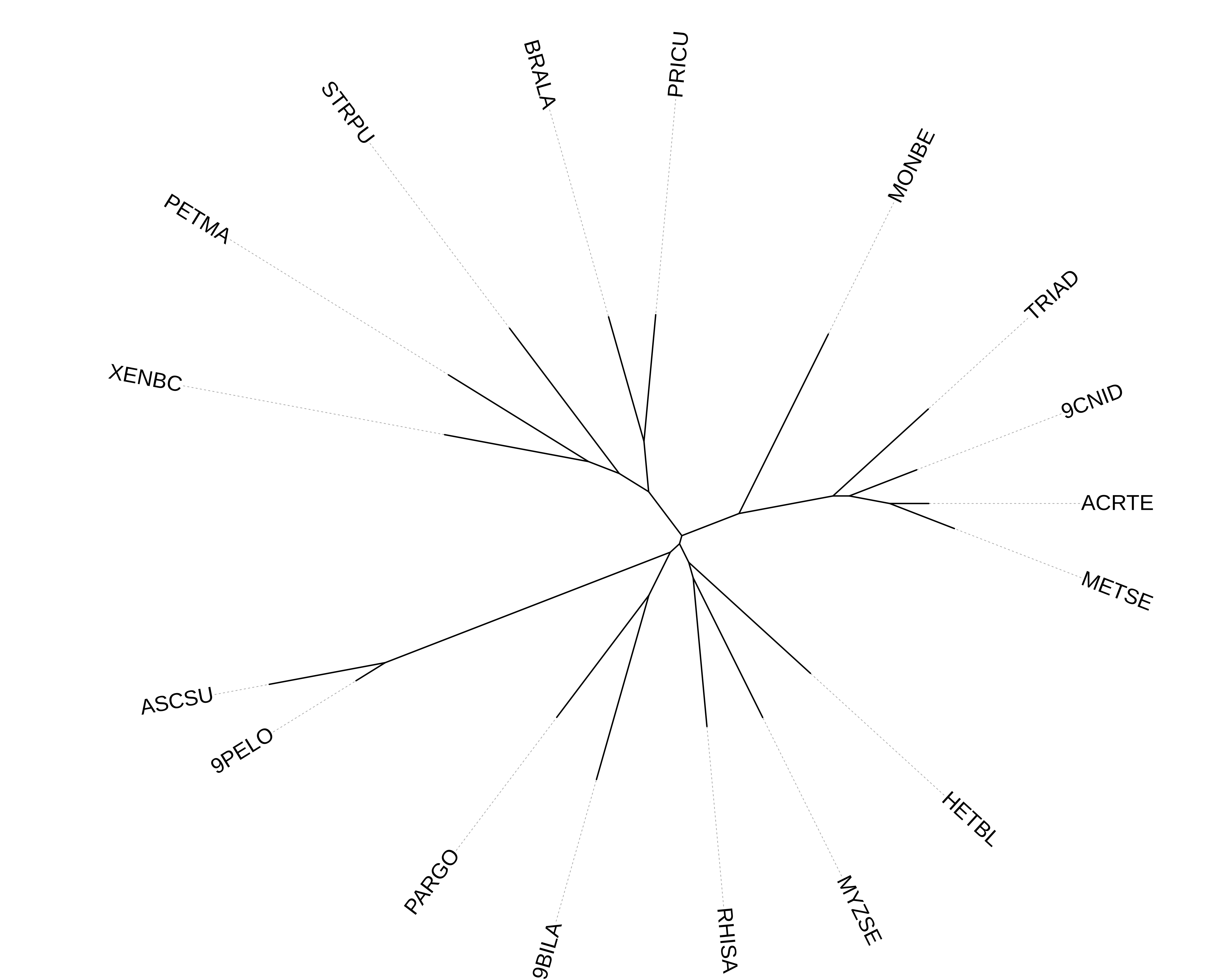 Tree of life