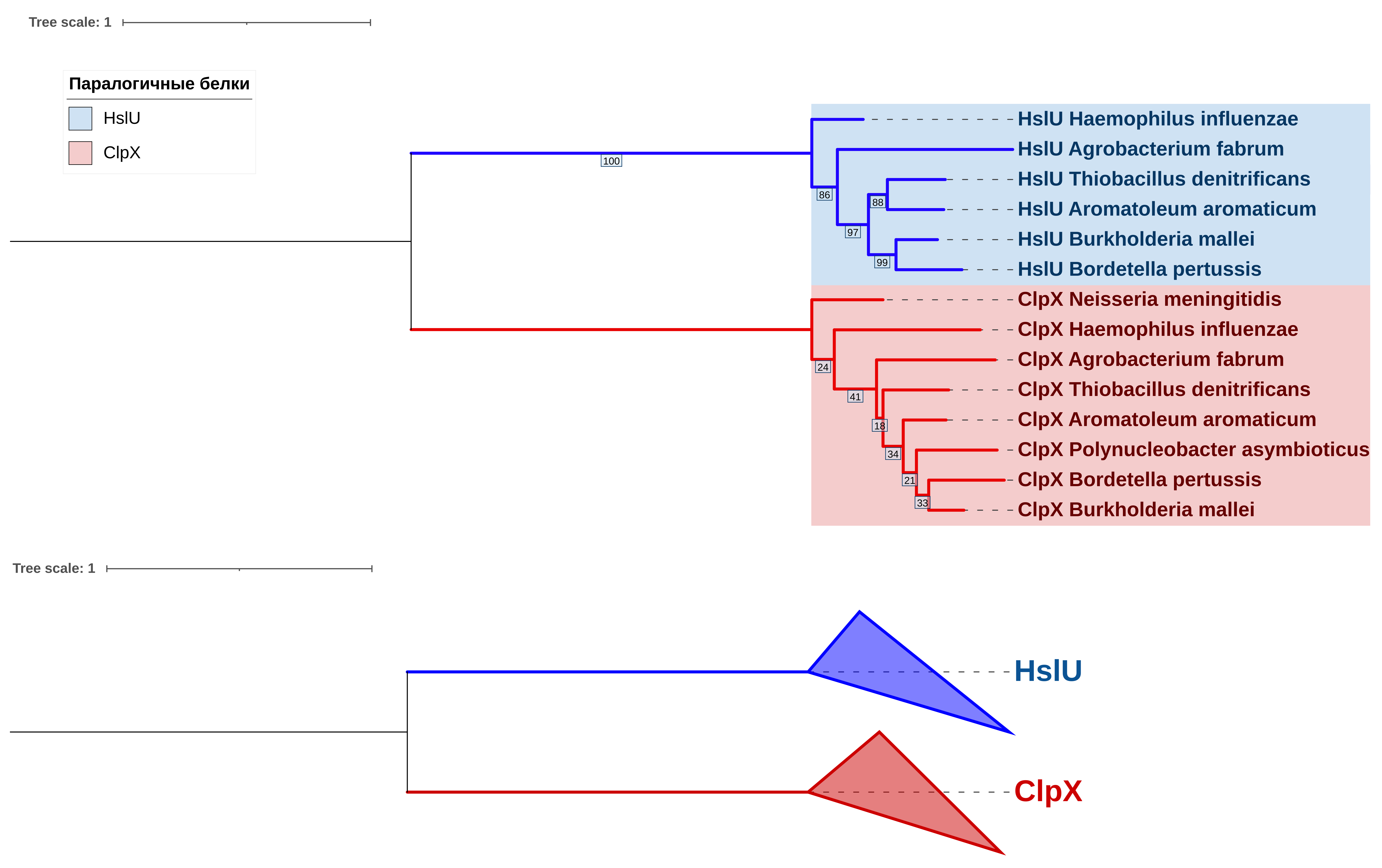 ClpX and HslU