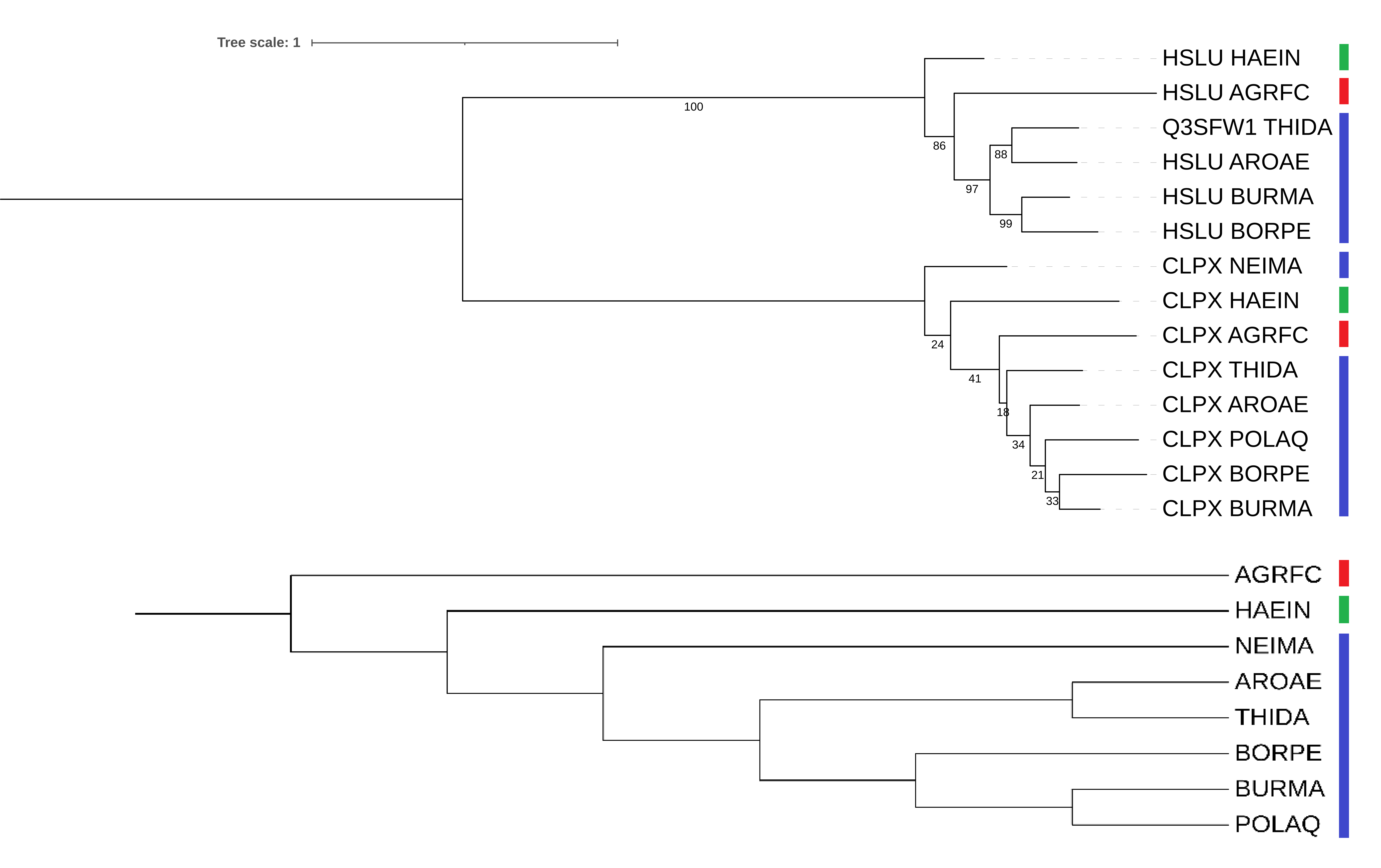 ClpX and HslU