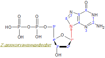 2'-dezoksiguanozindifosfat