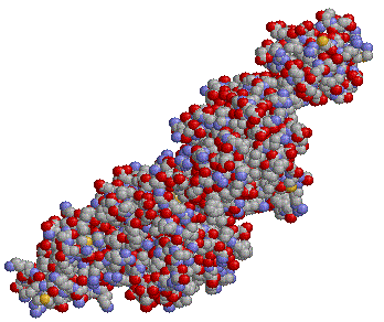 белок в шариковой модели