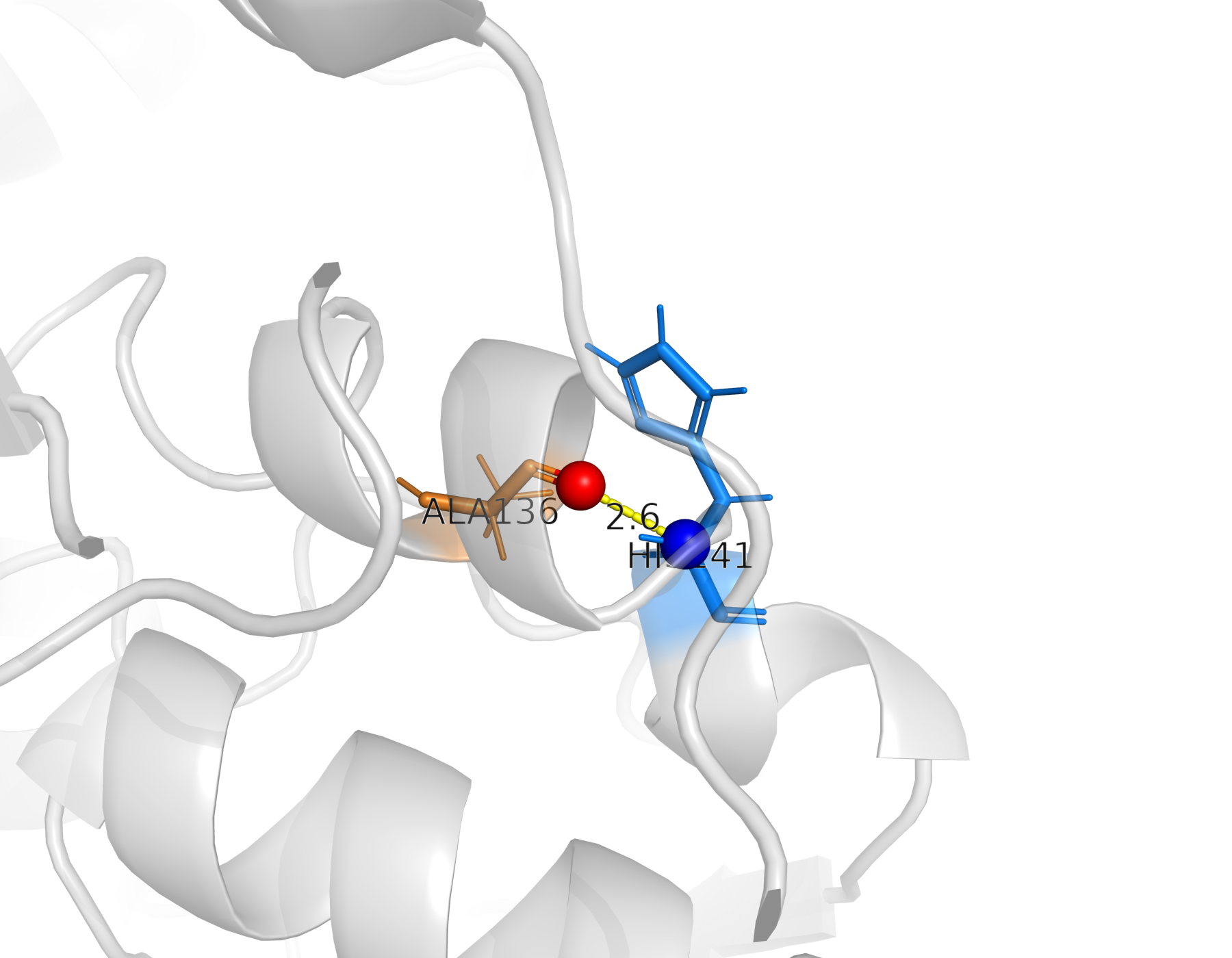 Водородная связь между атомами остова ALA136 и HIS141