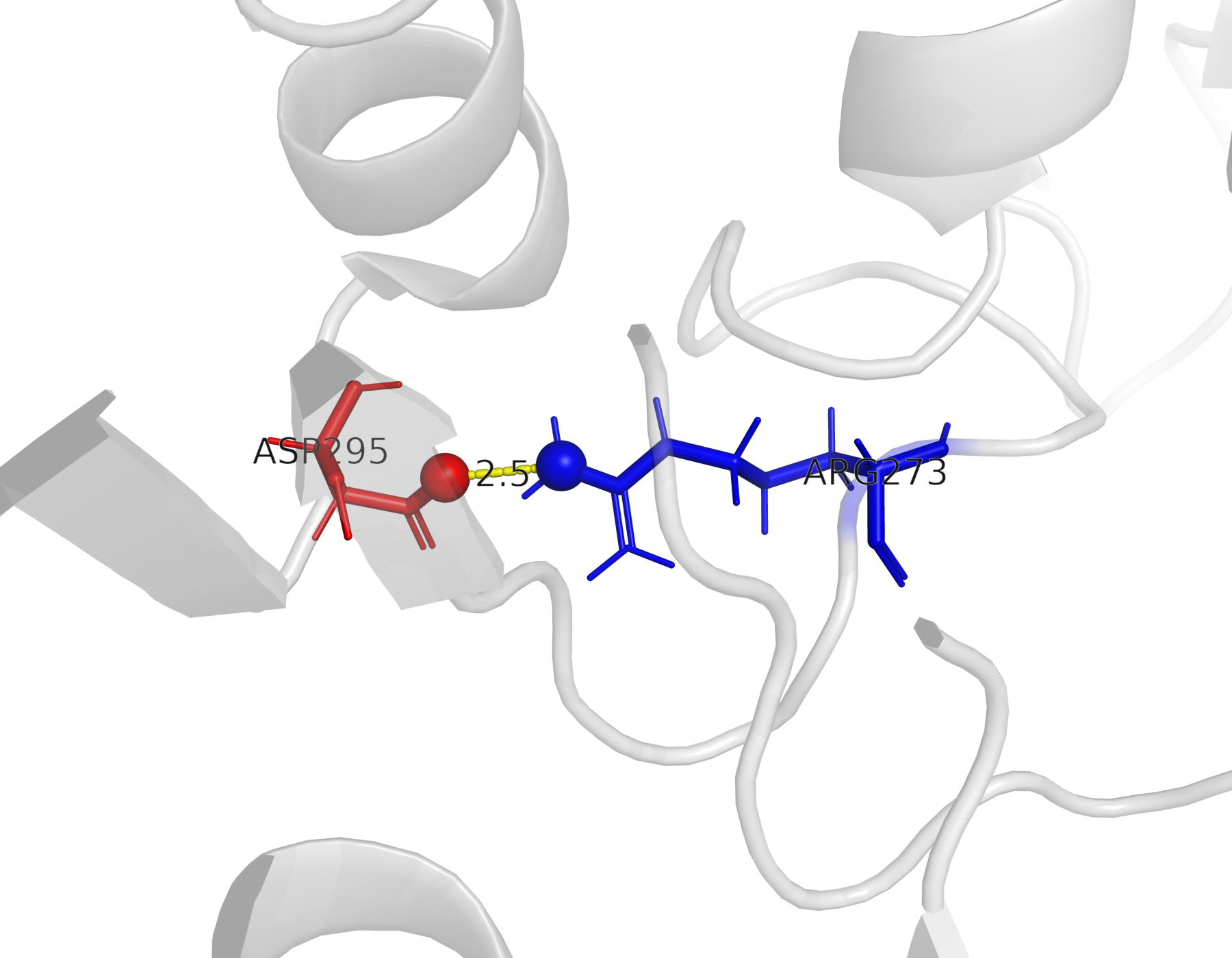 Солевой мостик между ARG273 и ASP295