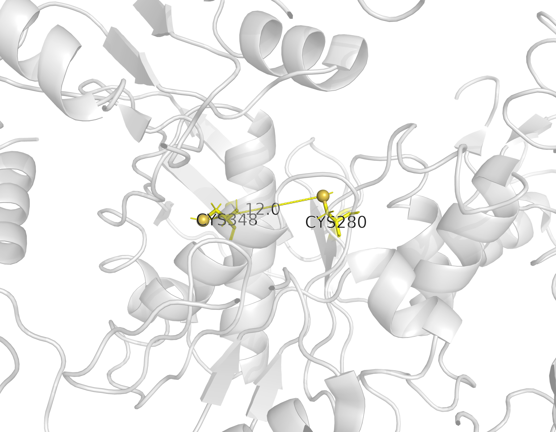 Остатки цистеина в структуре белка 2WTZ