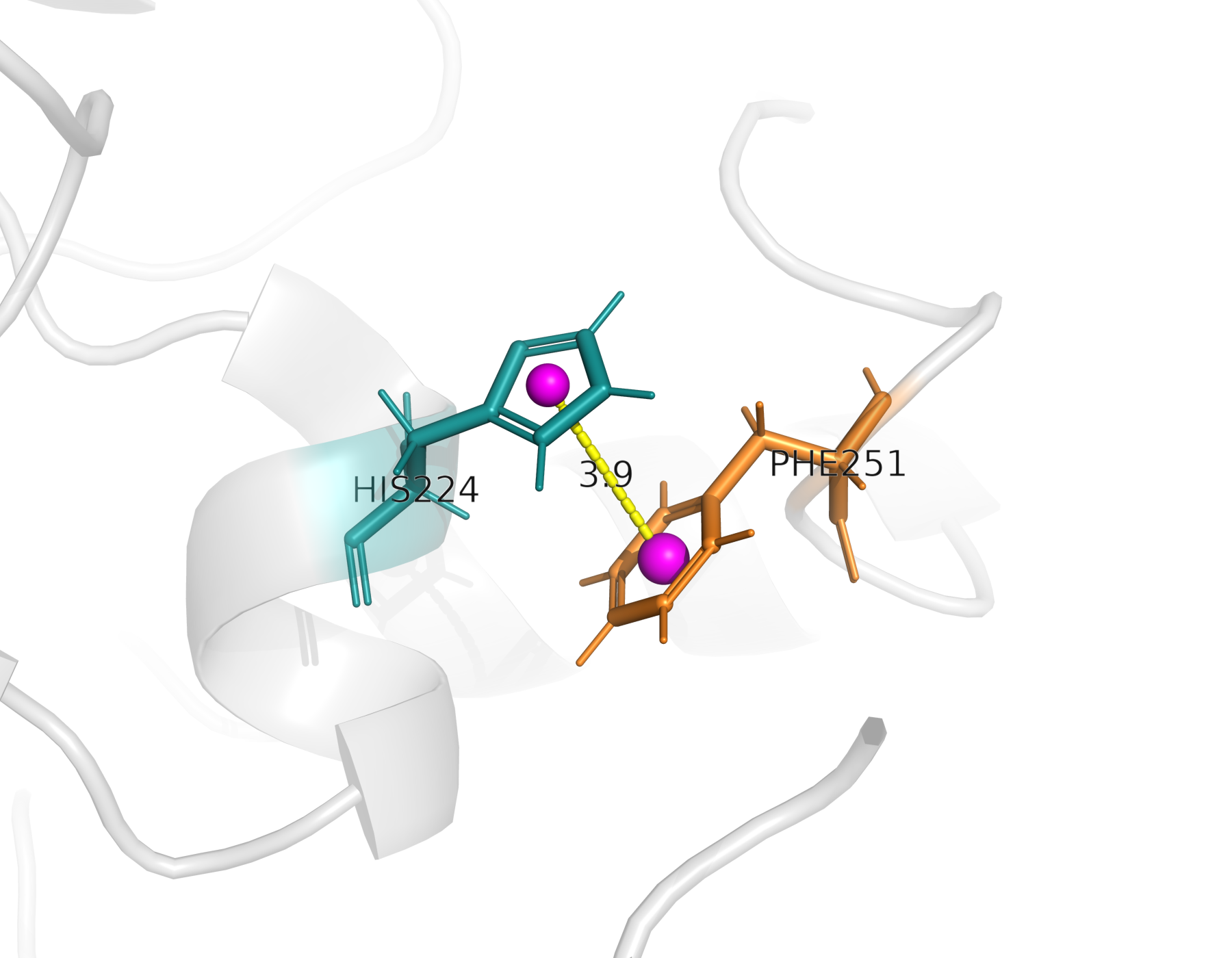 Ароматическое взаимодействие между HIS224 и PHE251