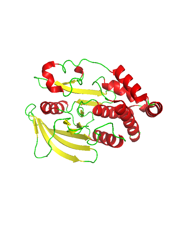 Вторичная структура