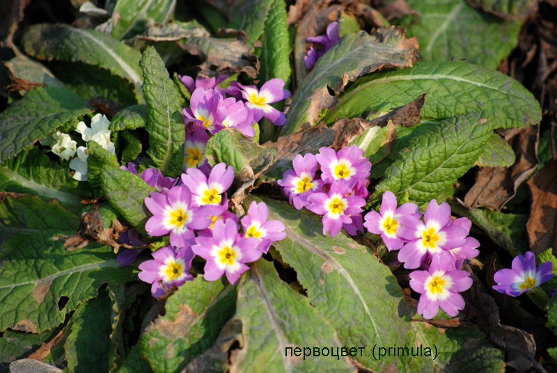 image 01