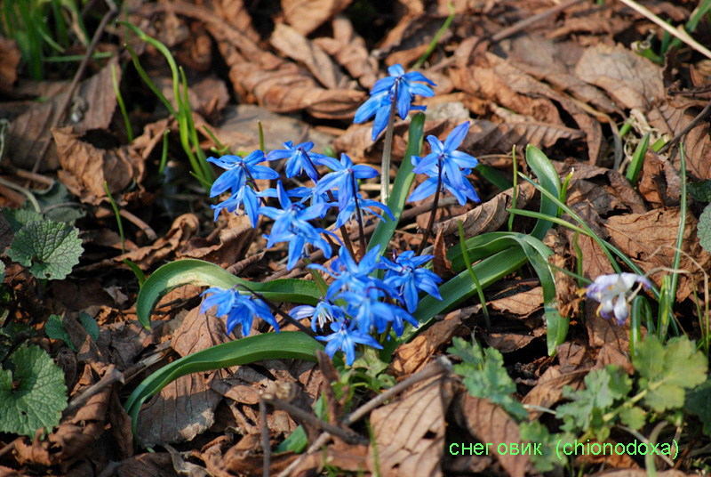 image 02