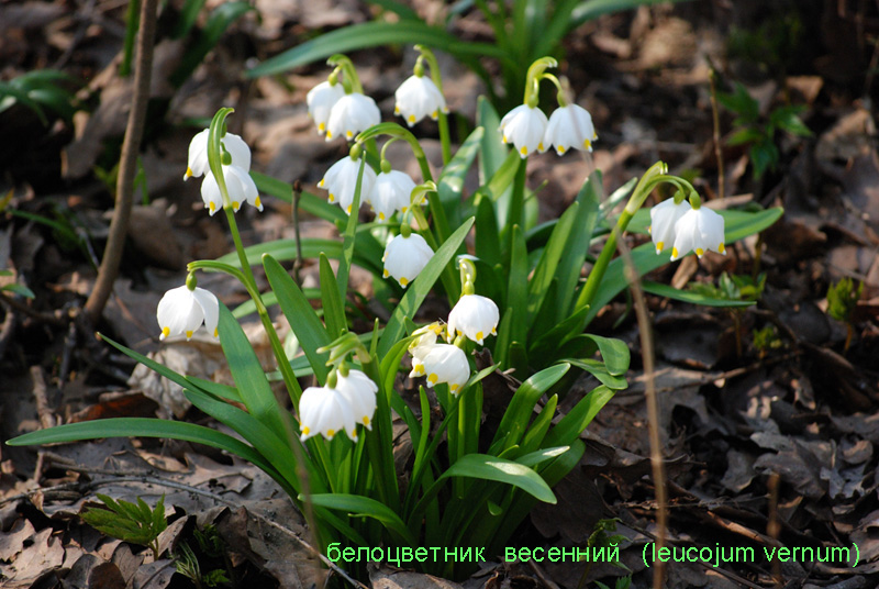 image 05