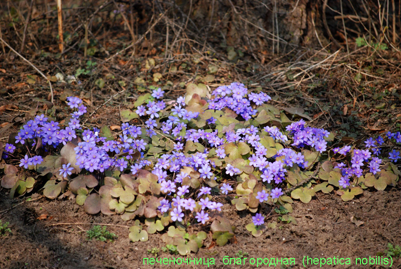 image 07