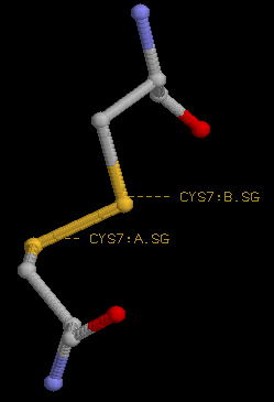 hydrogen bond