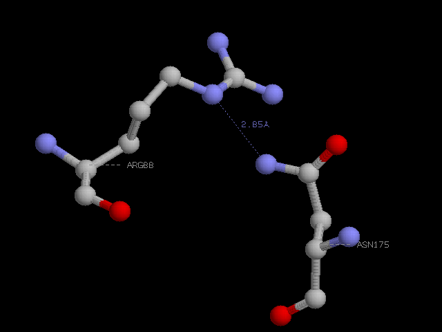 hydrogen bond