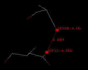 hydrogen bond