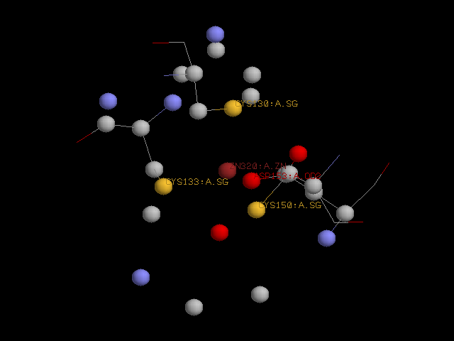 hydrogen bond