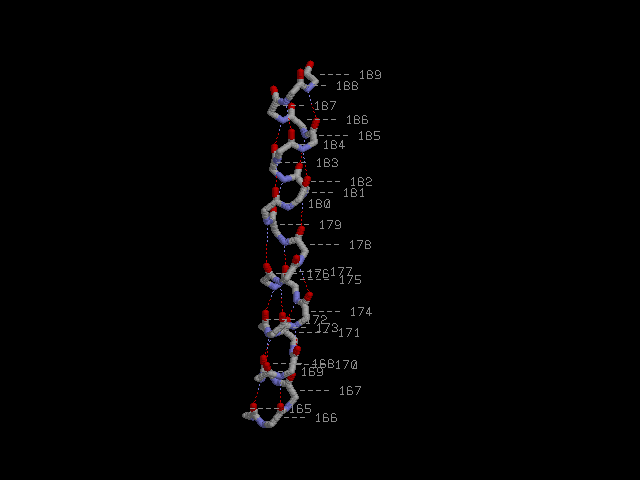 helix backbone