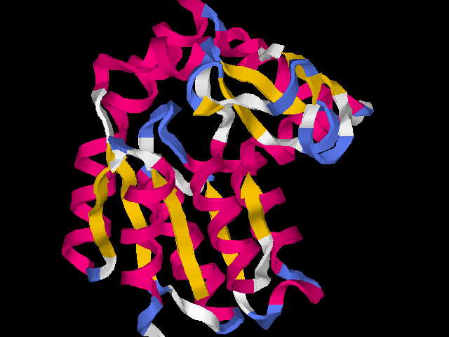 secondary structure overview