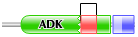 adk_lid from chlamydomonas