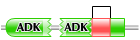 adk_lid from neurospora crassa