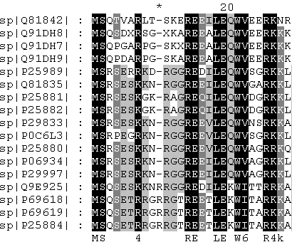 sequences in genedoc