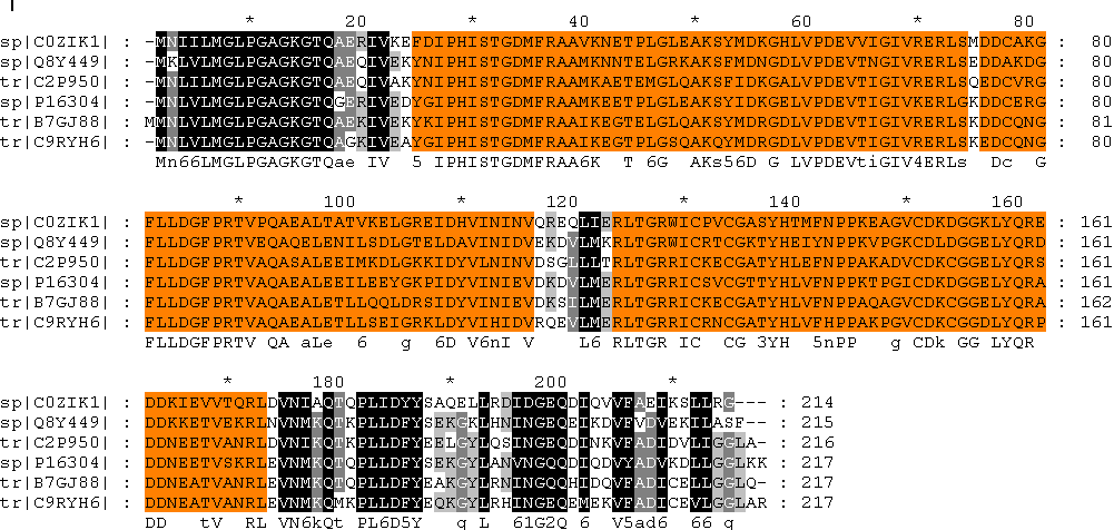 motifs in genedoc