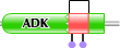 domains