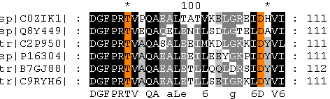 genedoc pattern image