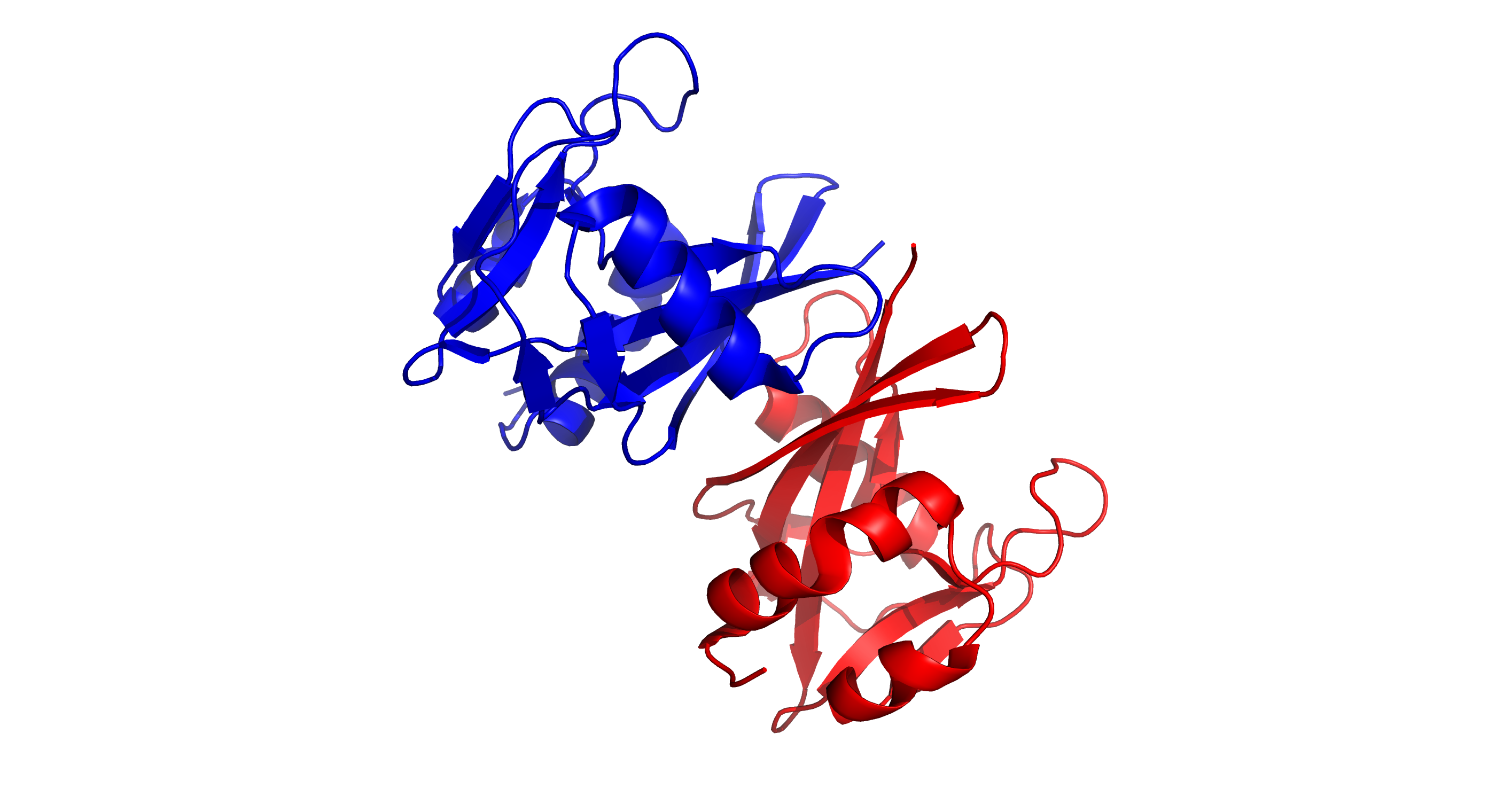 Общий вид структуры 3FFU: цепь A красная, цепь B синяя