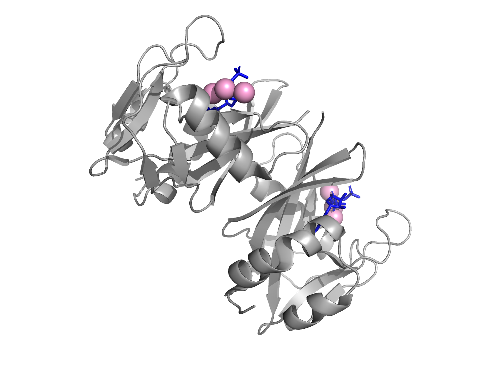 Молекула GTP в структуре 3FFU